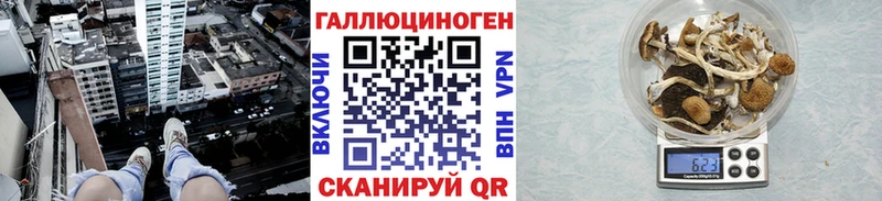 Псилоцибиновые грибы мицелий  закладка  Джанкой 